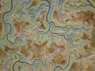 Aerial view of tidal marshland