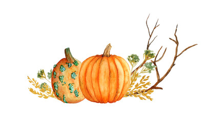 Watercolor hand drawn composition illustration of orange yellow butternut pumpkins, wood forest leaves and brown branches. For Halloween thanksgiving design in soft minimalism elegant style, woodland