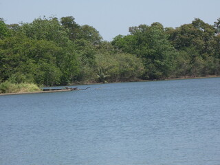 Water and trees in the park