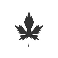 Leaf icon. Flat simple icon leaves. Vector illustration