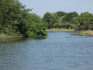 Water and trees in the park