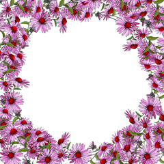 Obraz na płótnie Canvas Vector floral frame with pink flowers Echinacea Purpurea on white background. Design for your wedding, birthday, saving the date card. For greeting card decoration.