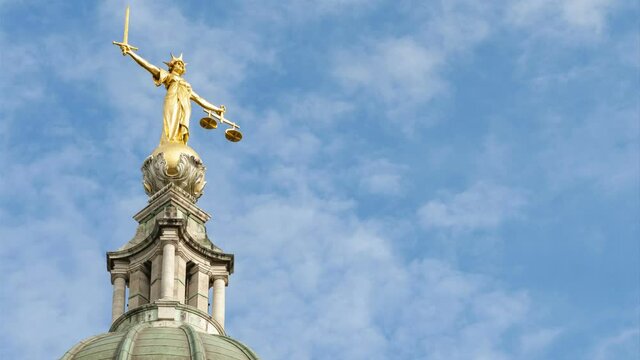UK Legal Professional in Court