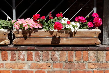 Blumenkasten aus Holz mit bunten Blumen auf einer Fensterbank,  Deutschland, Europa