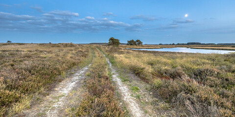 Natural heathland landscape near Hijken