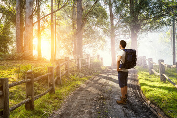 Young traveler exploring the world concept