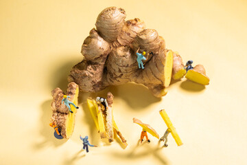 Miniature Workers harvesting ginger