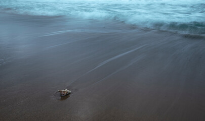 Sea  wave water  ocean