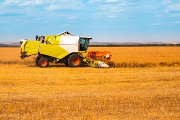 Fototapeta premium harvesting wheat in the field on a summer day, harvesters harvesters harvesting bread