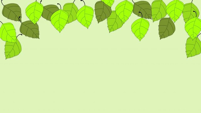 Green birch tree leaves frame on light green background. Hand drawn. Copy space.