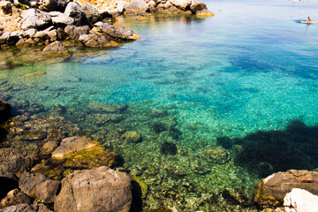 coral reef and sea