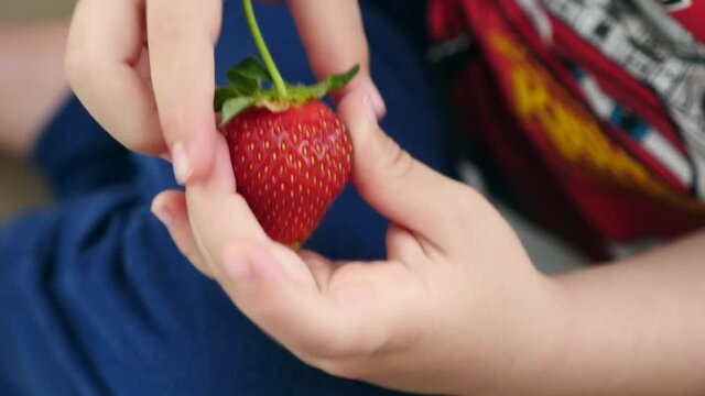 There are strawberries in the hands of a baby, a child eating strawberries, strawberry love of children and,