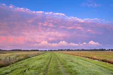 Naklejka premium Sunset over track through meadows