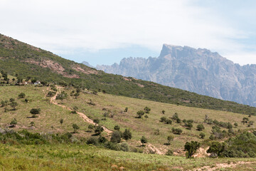 Fototapeta na wymiar Magnifique paysage dans les montagnes Corse