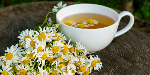 Bouquet of chamomile on a wooden stump and chamomile tea