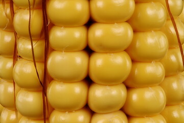 Maize (Zea mays). Seeds Closeup