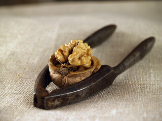 Beautiful old rusty vintage iron tongs for chopping nuts on unbleach linen background close-up. Half of chopped walnut on tongs for splitting, selective focus