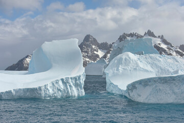 Cooper Bay, Floating Icebergs, South Georgia, South Georgia and the Sandwich Islands, Antarctica