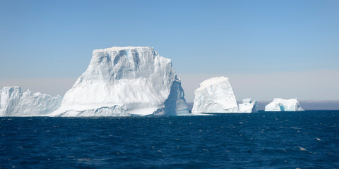 Drygalski Fjord, Floating Icebergs, South Georgia, South Georgia and the Sandwich Islands, Antarctica