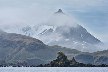 Undine Harbour, South Georgia, South Georgia and the Sandwich Islands, Antarctica