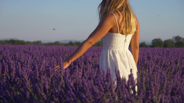 Slow motion - Young woman in a white dress walking through lavender field at sunset. Beautiful girl in Provence, France