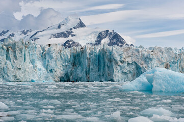 Molkte Bay, Snow covered mountains, South Georgia
