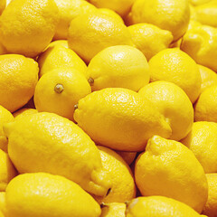 yellow lemons close up at fruit market, bright lemon background