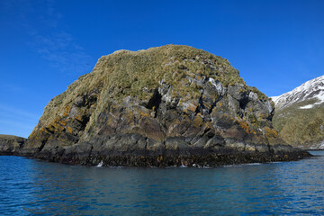 Fototapeta na wymiar Rock and nesting place for seabirds, Elsehul Bay, South Georgia Island, Antarctic
