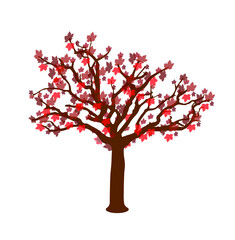 Fototapeta premium abstract, autumn, beautiful, beauty, botany, branch, color, colorful, dead leaves, decorative, environment, fall, forest, gold, leaf, light, nature, october, orange, outdoors, plant, red, season, sept