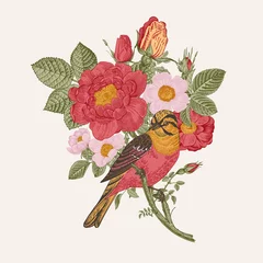 Papier Peint photo Pour elle Oiseau et roses, élément décoratif, illustration vectorielle Vintage