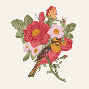 Bird and roses, Decorative element, Vintage vector illustration