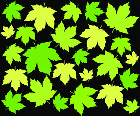 Modern vector flat pattern with green maple leaves on black background.