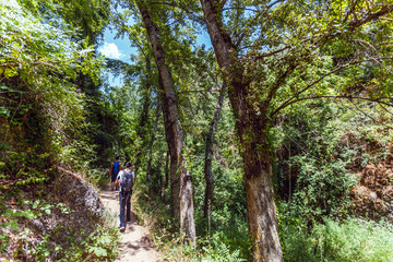 Group of young adventurers on their backs with backpack walking while traveling for nature tourism on a path in the middle of the forest in the Cazorla Natural Park, in Spain. Selective focus.