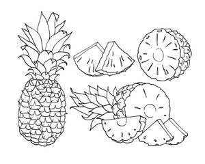 The contour of the pineapple, isolated on white background, hand drawn vector illustration. Set of pineapple halves, slices and whole fruit.