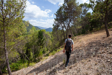 Naklejka premium Young adventurer on his back with backpack walking while traveling on offroad nature tourism in the middle of the forest in the Cazorla Natural Park, in Spain. Selective focus.