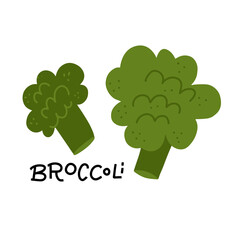 Vector illustration of broccoli icon in flat style with lettering title, isolated on white background.