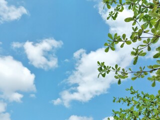 sky and clouds