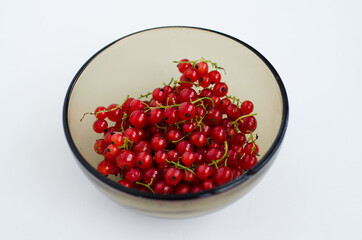 red currant berries