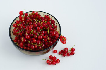 red currant berries