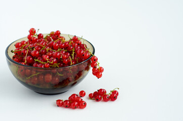 red currant berries