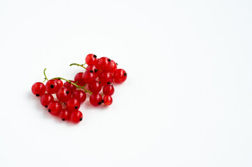 red currant berries