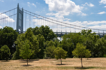 Triborough Bridge with Dry Grass and Green Trees during Summer seen from Randalls and Wards Islands in New York City