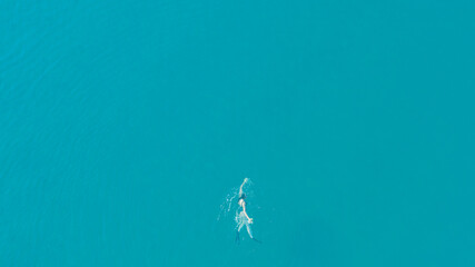 Drone view of a female swimmer