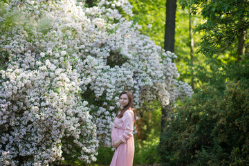 Pregnant woman in the apple orchard is holding tummy and apple blossoming branch
