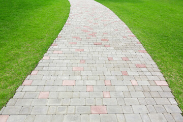 Natural background. The road is paved with cobblestones among the green grass lawn. Alley in the backyard