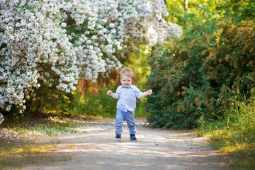 Child running  in an apple orchard in spring