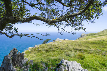 Fototapeta na wymiar Meadow next to the cliff of Monte Candina