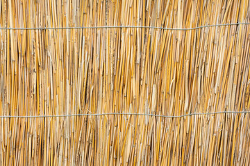 Natural background. A wattle or fence made of dry twigs