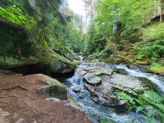 IlsenFall
