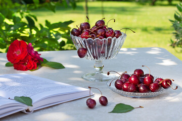 A table set in the garden with a bowl of cherries. On the table is a glass vase and a plate with a cherry, a rose flower, and a book to read. Recreation in the garden, in nature in summer